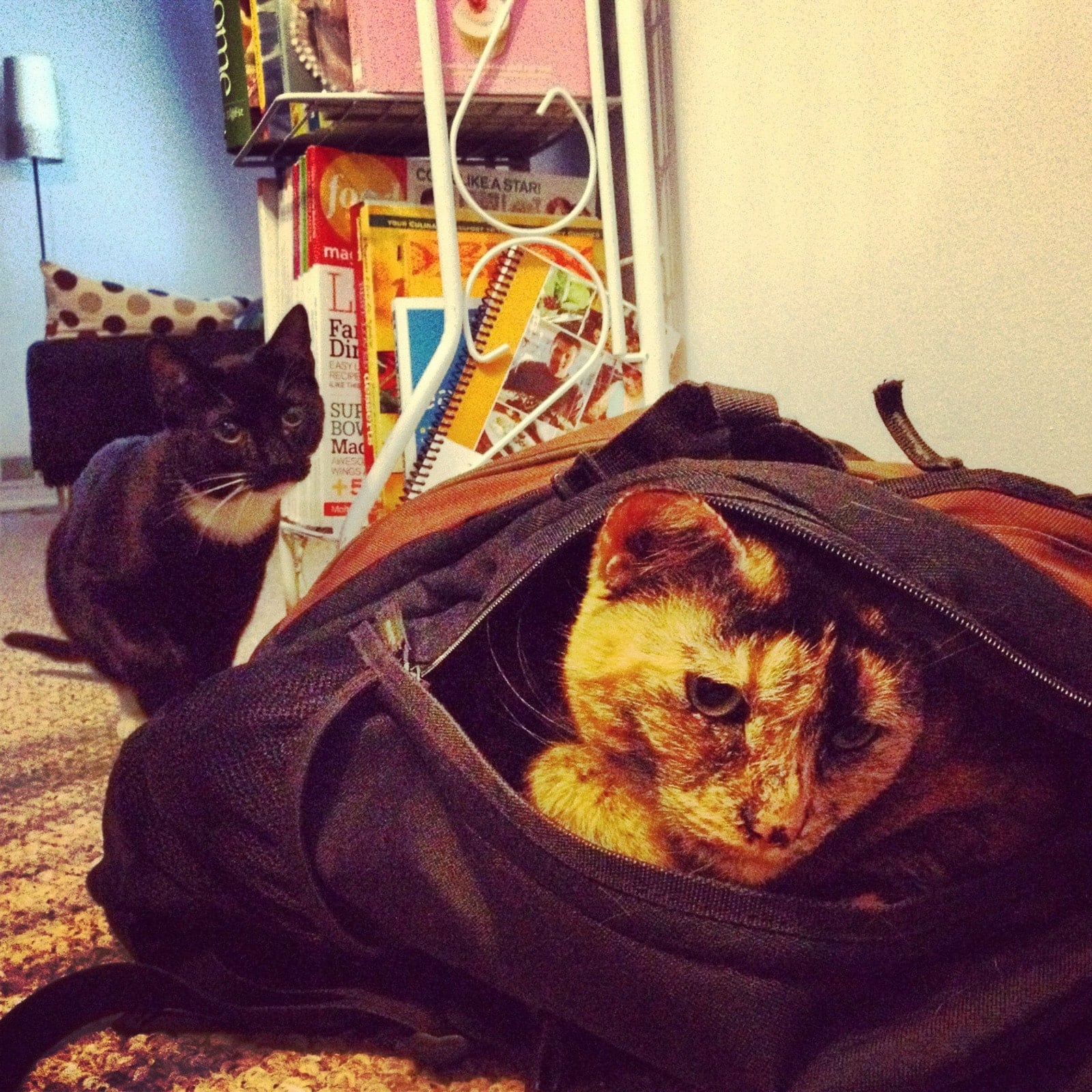Leela in a bag with Fry watching