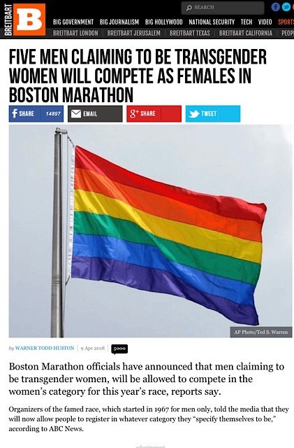 Screenshot of Breitbart article